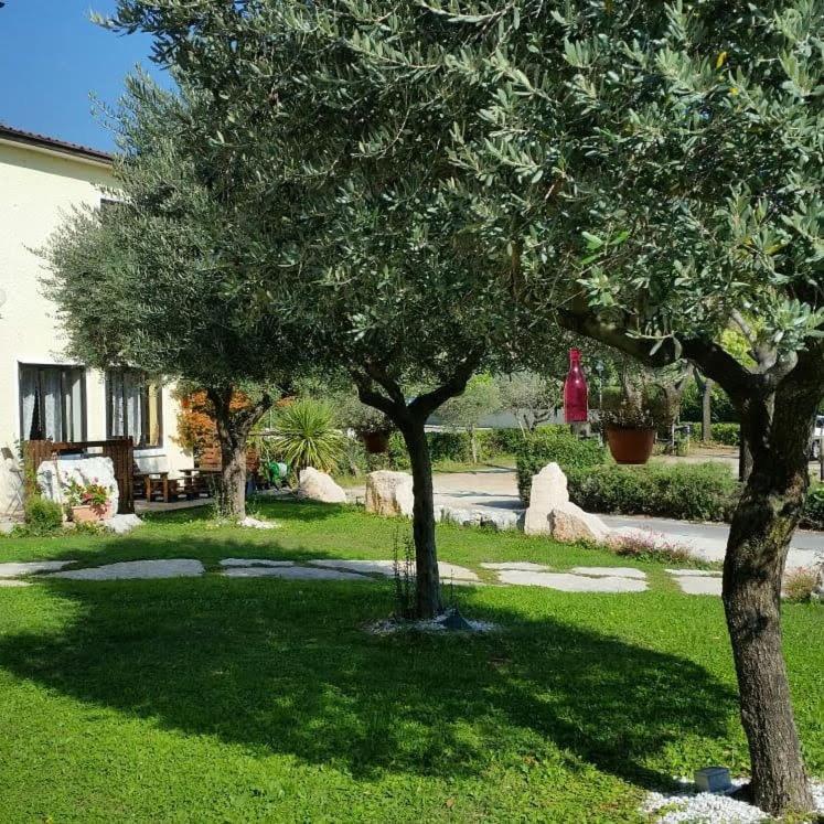 Alla Favorita Bassano del Grappa Extérieur photo